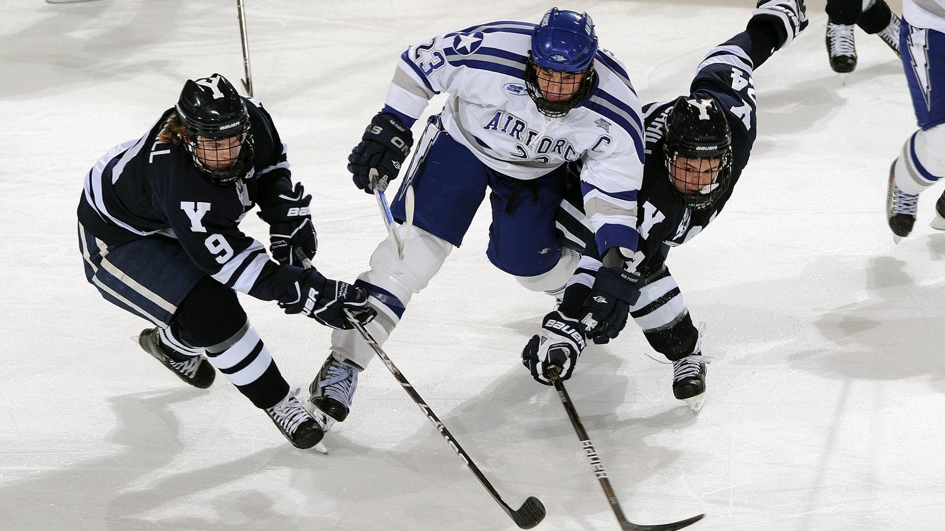 球迷“云支持”：线上线下的互动新体验，线上球赛